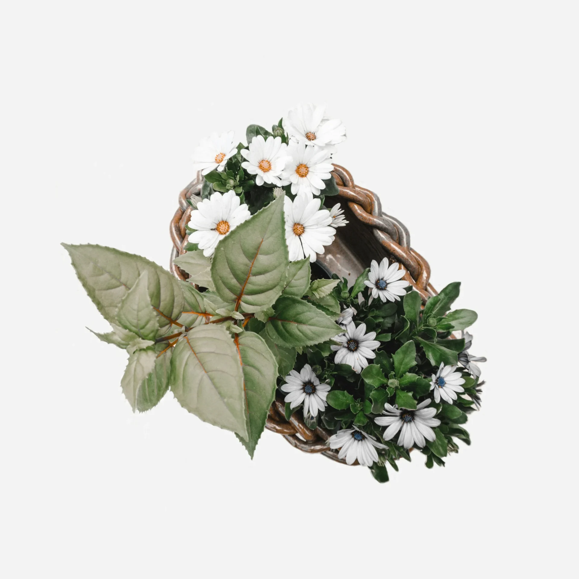 YuDecor Clearance Collection